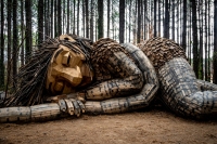 Mother Strong Tail - Dix Park, Raleigh, NC