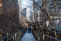 Highline Trail - NYC, NY